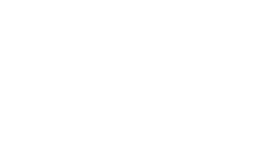 Brattle-white