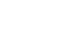 amadeusitgroup white