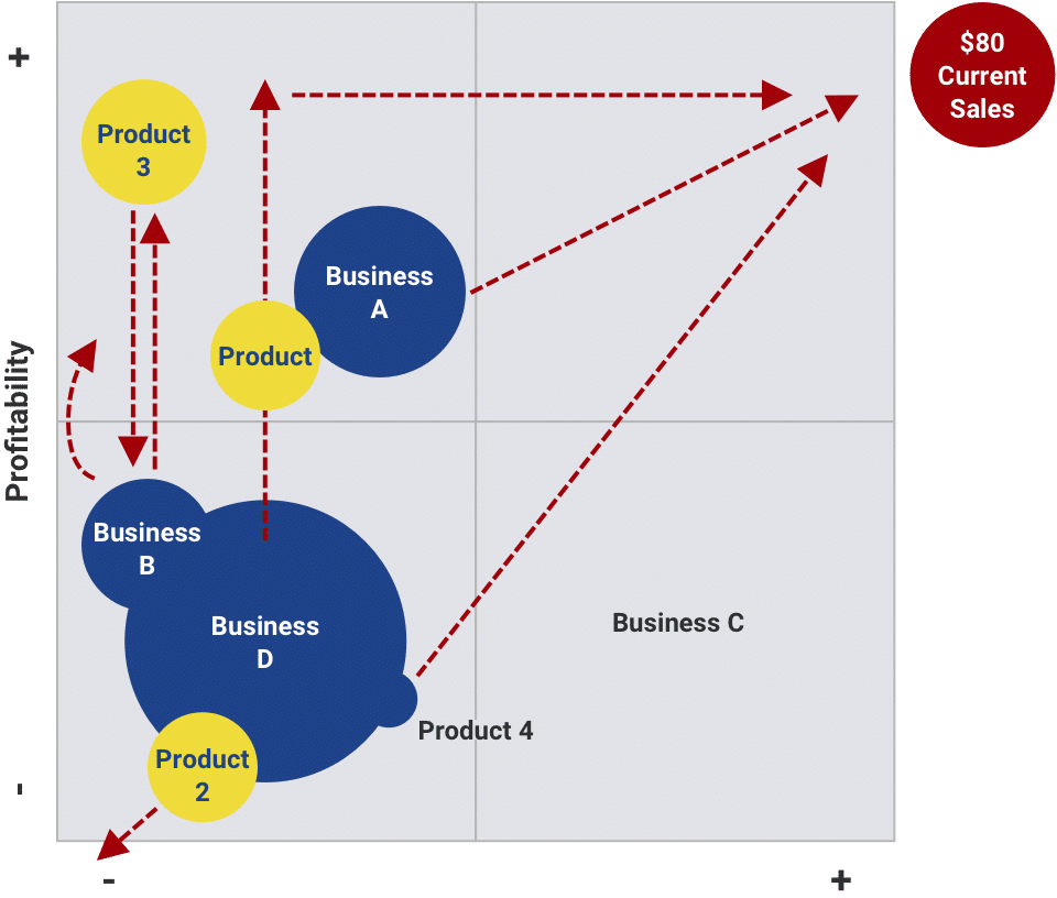 A Fortune Global 500 Refines Strategy to Unleash Growth