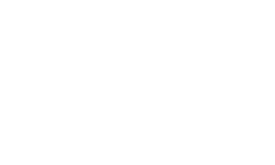 kapsch white