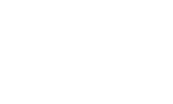 transunion white