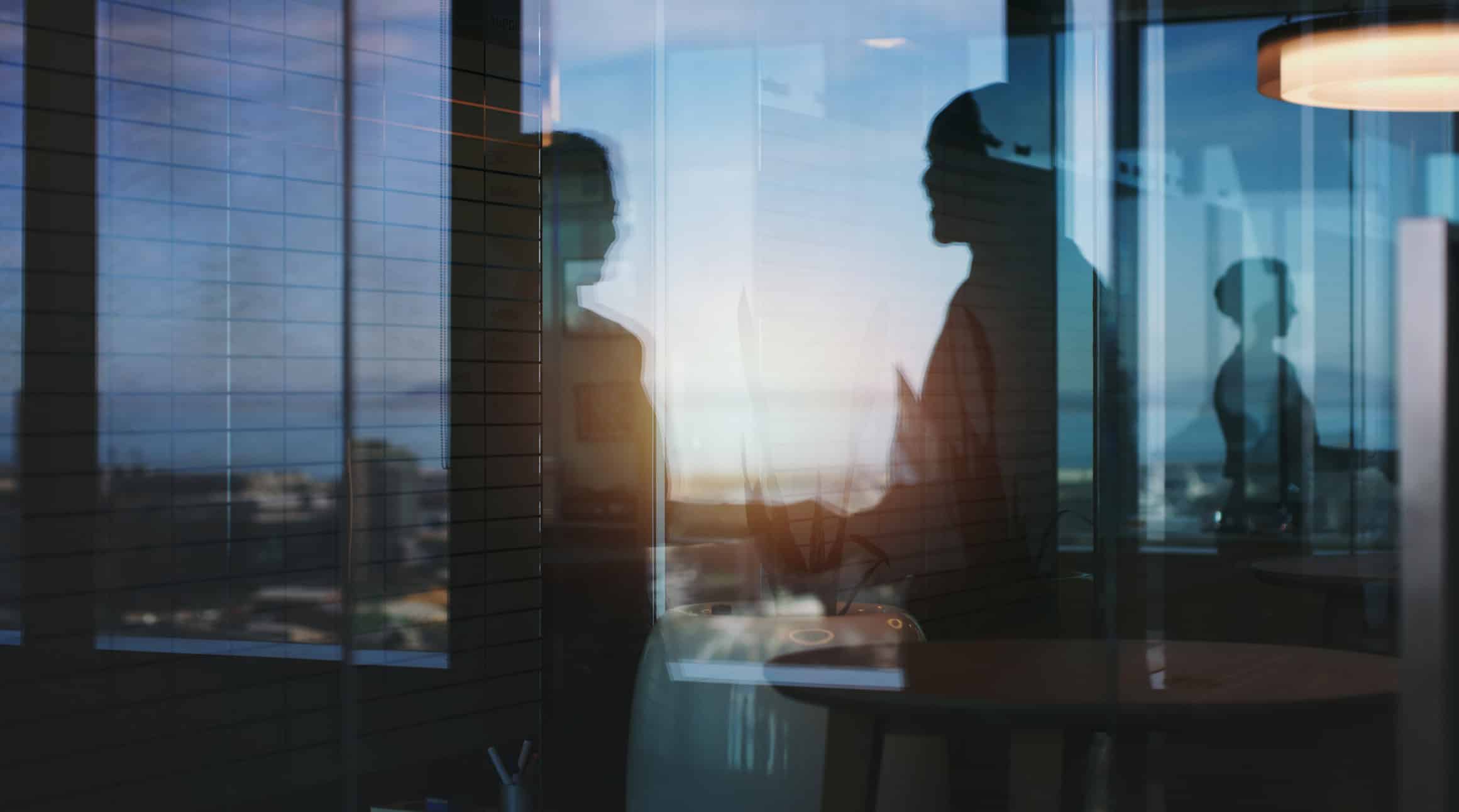Silhouettes of two people discussing Strategic Mergers & Acquisitions Consulting in an office.