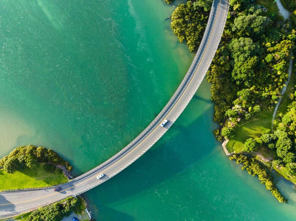 A curved bridge with cars crosses over water and trees, ideal for hospitality consulting services.